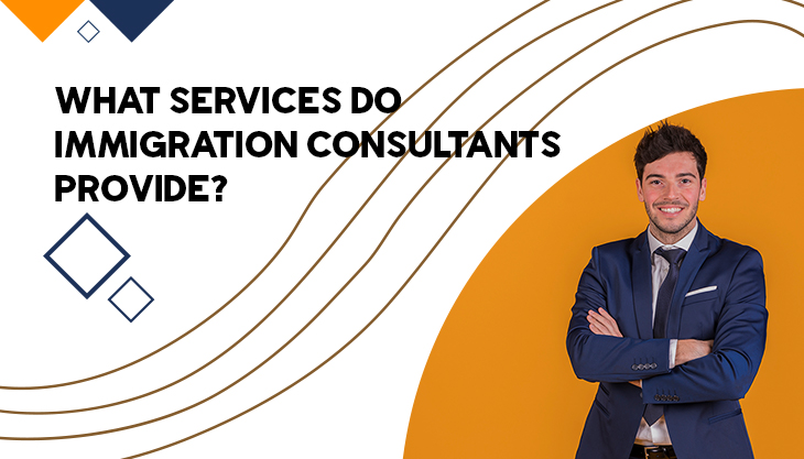 What Services Do Immigration Consultants Provide?