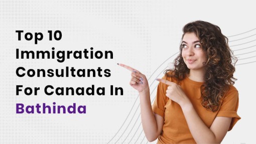 Top 10 Immigration Consultants For Canada In Bathinda