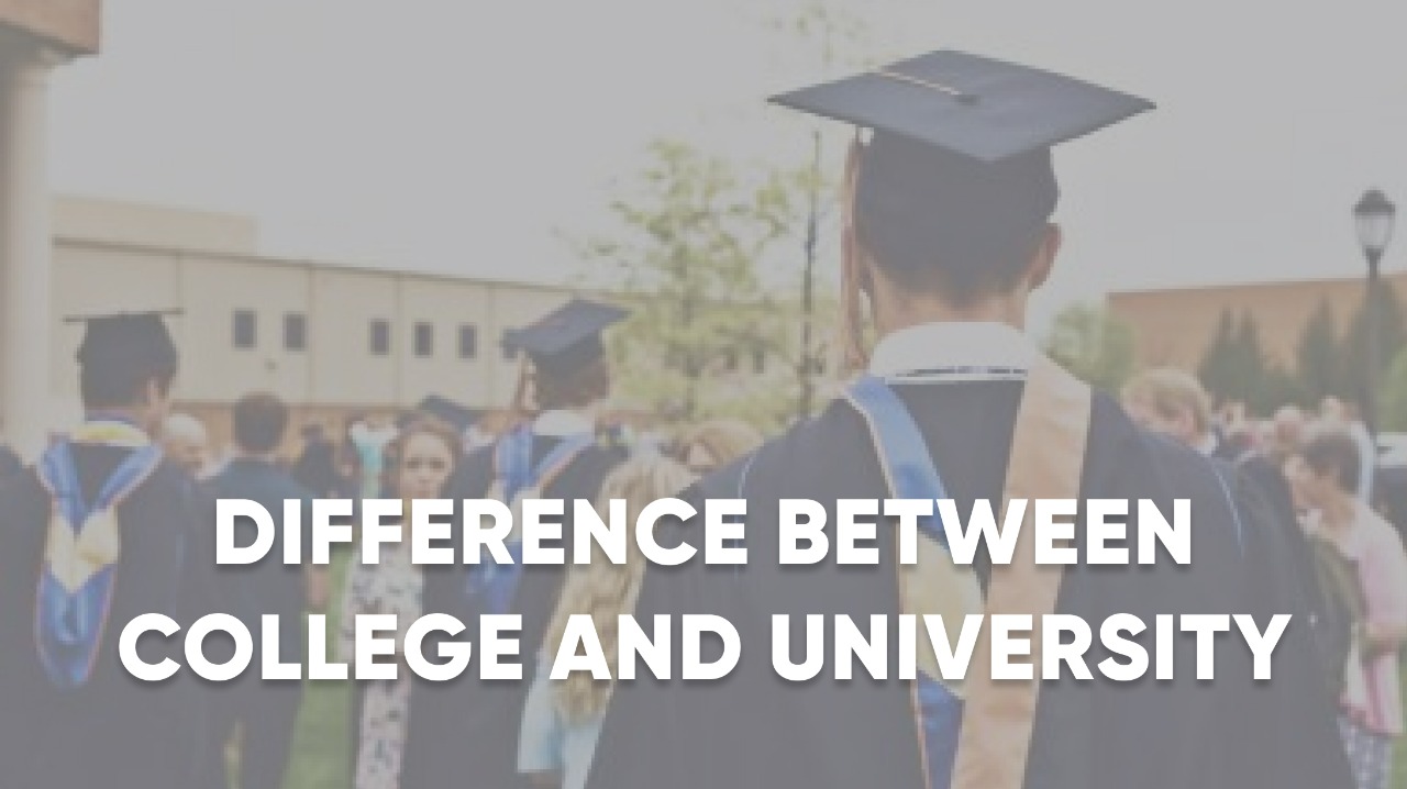 What Is The Difference Between College And University In Canada?