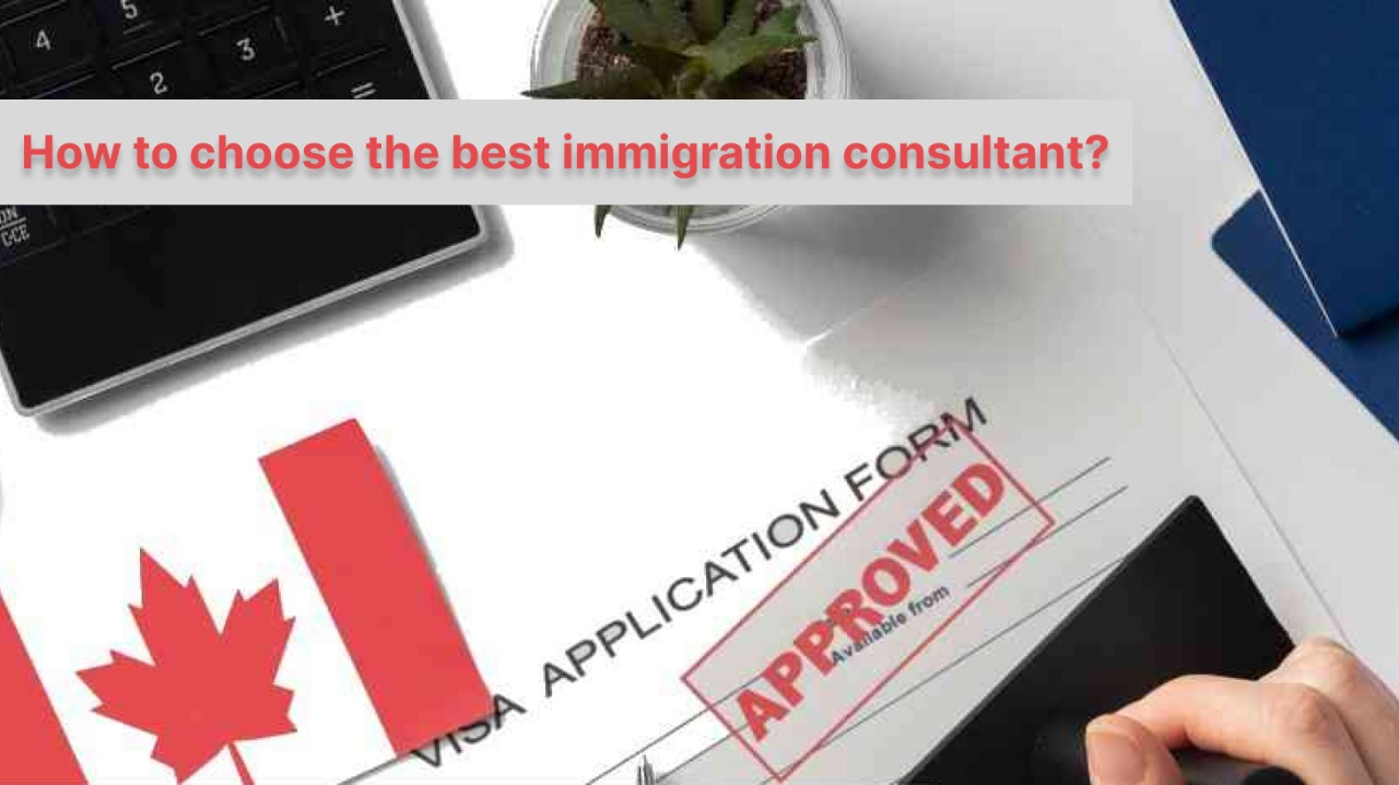 How To Choose The Best Immigration Consultant?
