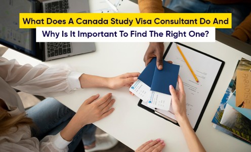 What Does A Canada Study Visa Consultant Do And Why Is It Important To Find The Right One?