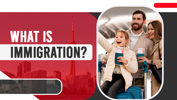 What is Immigration?